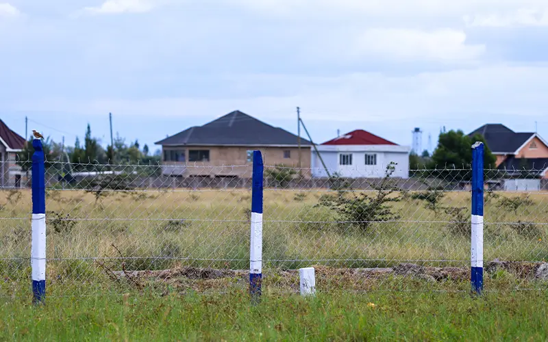 Josks Plains — gallery